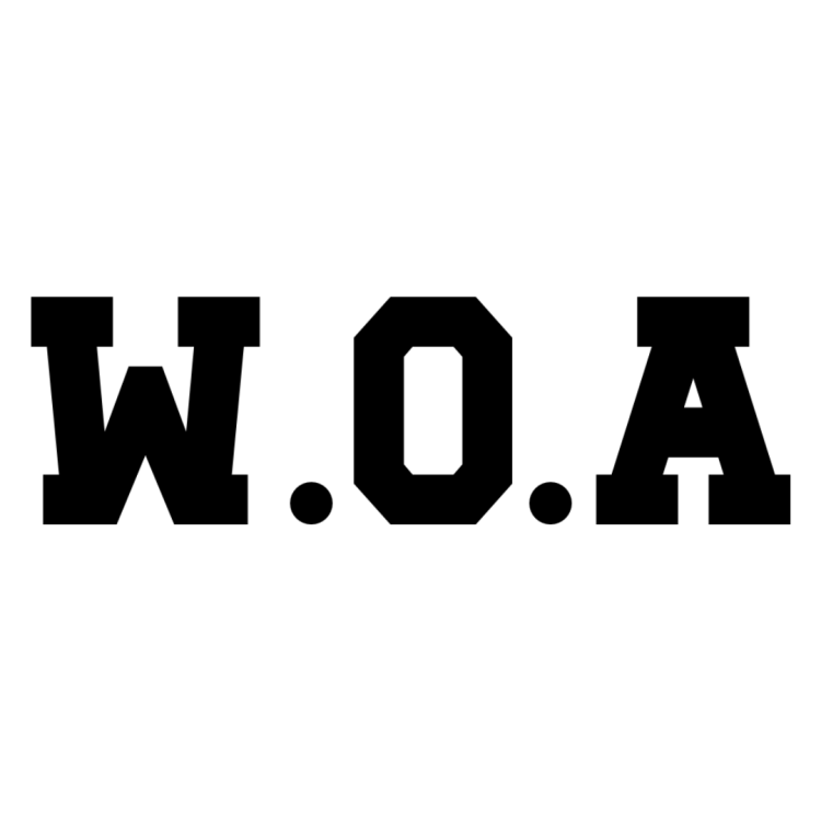 War On Art "WOA"  Logo